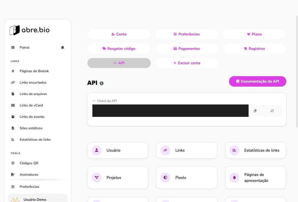Aba API com campo Chave da API mascarado por uma barra preta e grade de categorias de endpoints